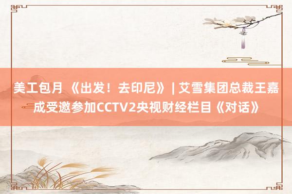 美工包月 《出发！去印尼》 | 艾雪集团总裁王嘉成受邀参加CCTV2央视财经栏目《对话》